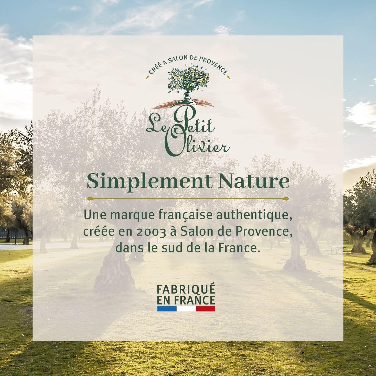 - 3 Savons De Marseille - Huile D'Olive - Parfum De La Région De Grasse - Nettoient La Peau En Douceur - Fabriqué En France - 3X100G